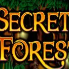 Secret Forest / Таинственный Лес